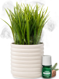 Read more about the article Lifelines Plant Diffuser with Planter – Rechargeable Aromatherapy